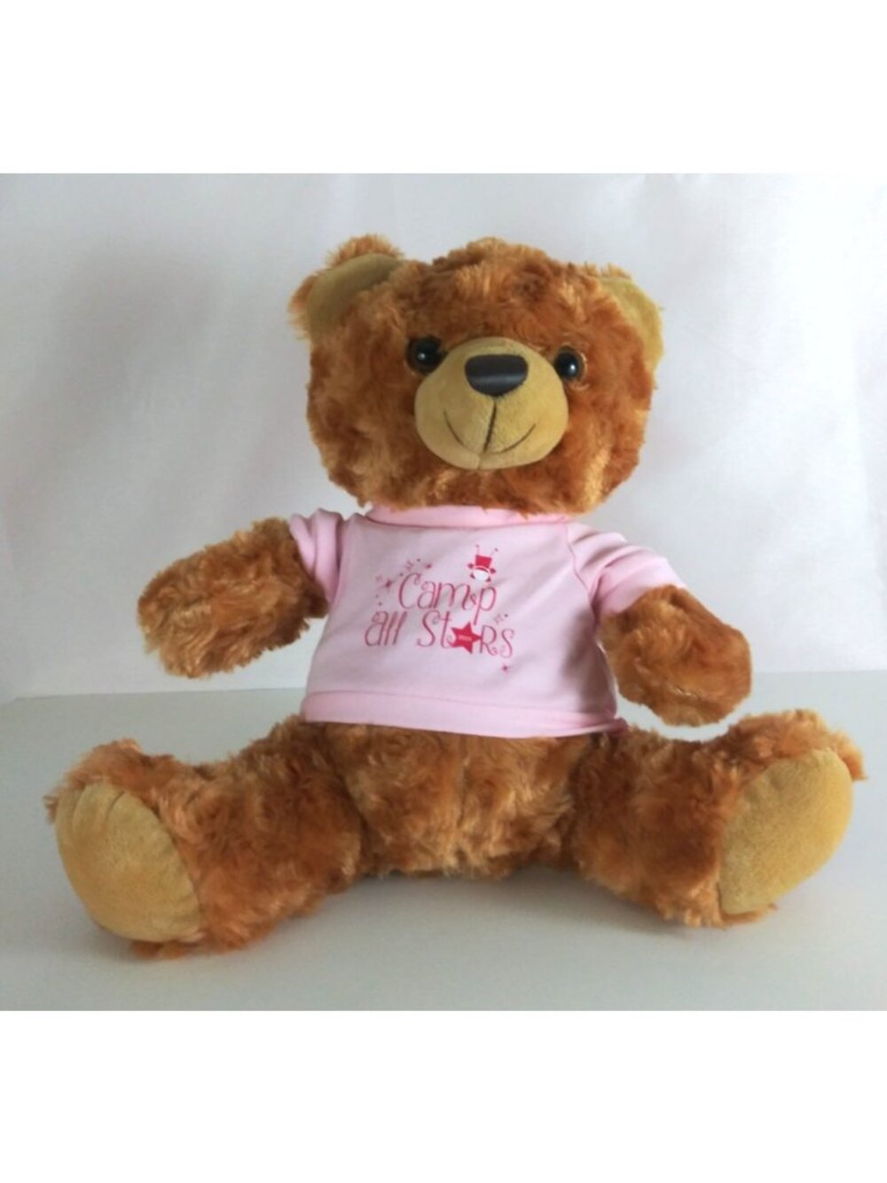 Brown Teddy Bear Wearing Camp All Stars T-Shirt Super Soft 9" Plush